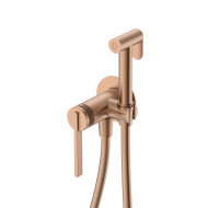 Гигиенический душ DQ Bonn встраиваемый (DA1704533) Гигиенический душ DQ Bonn встраиваемый (DA1704533)